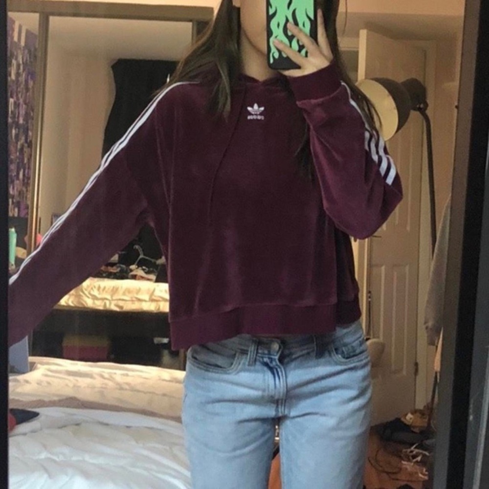 Velvet maroon crop hoodie